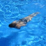 Safety and Strength That Go Beyond Expectations