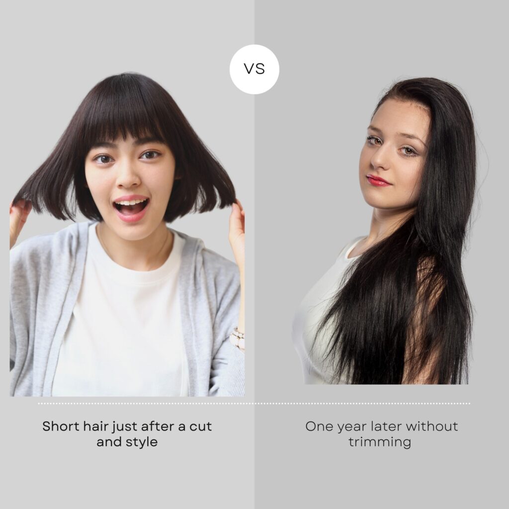 comparison of short hair vs long hair not trimmed