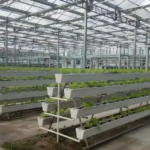 Hydroponic Solutions