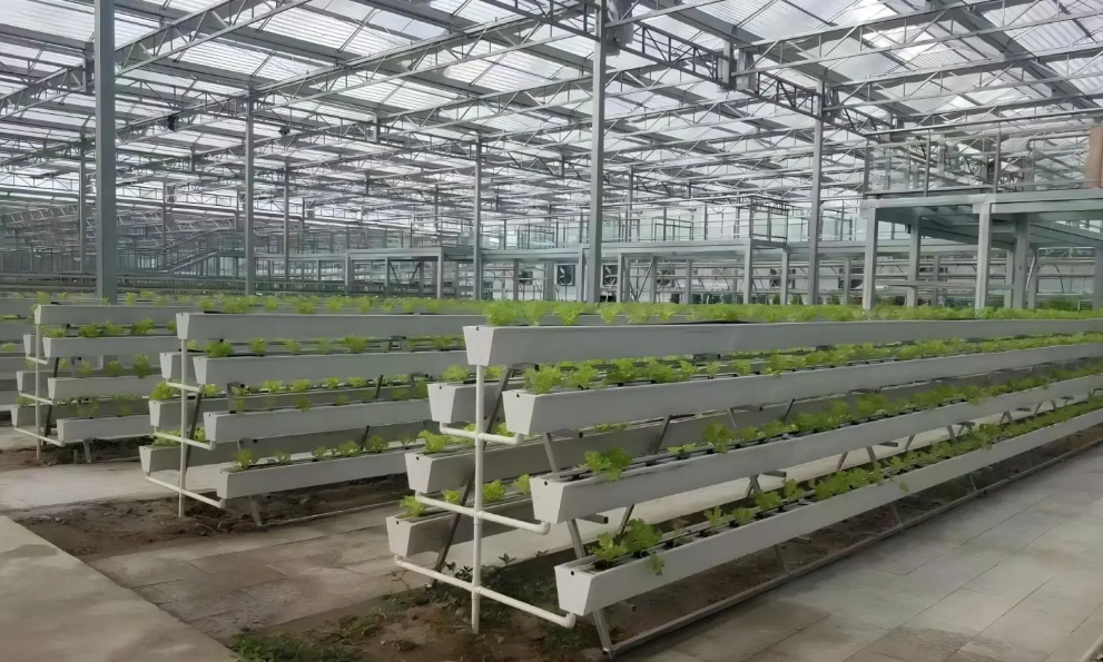 How Modern Hydroponic Solutions Are Quietly Reshaping the Way We Grow Food
