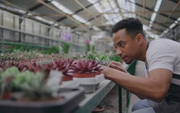 Landscaping Business