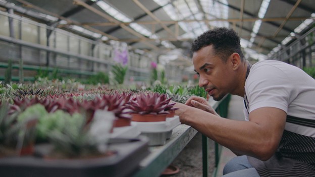 Thinking of Starting a Landscaping Business? Here’s Why It Might Be a Great Choice.