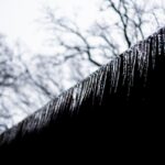 Home Inspection After a Tough Winter