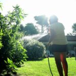 Spruce up the Garden