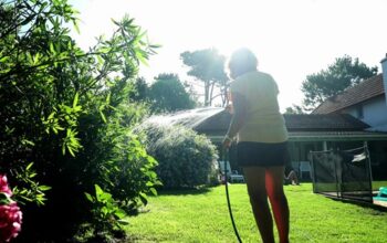 Spruce up the Garden