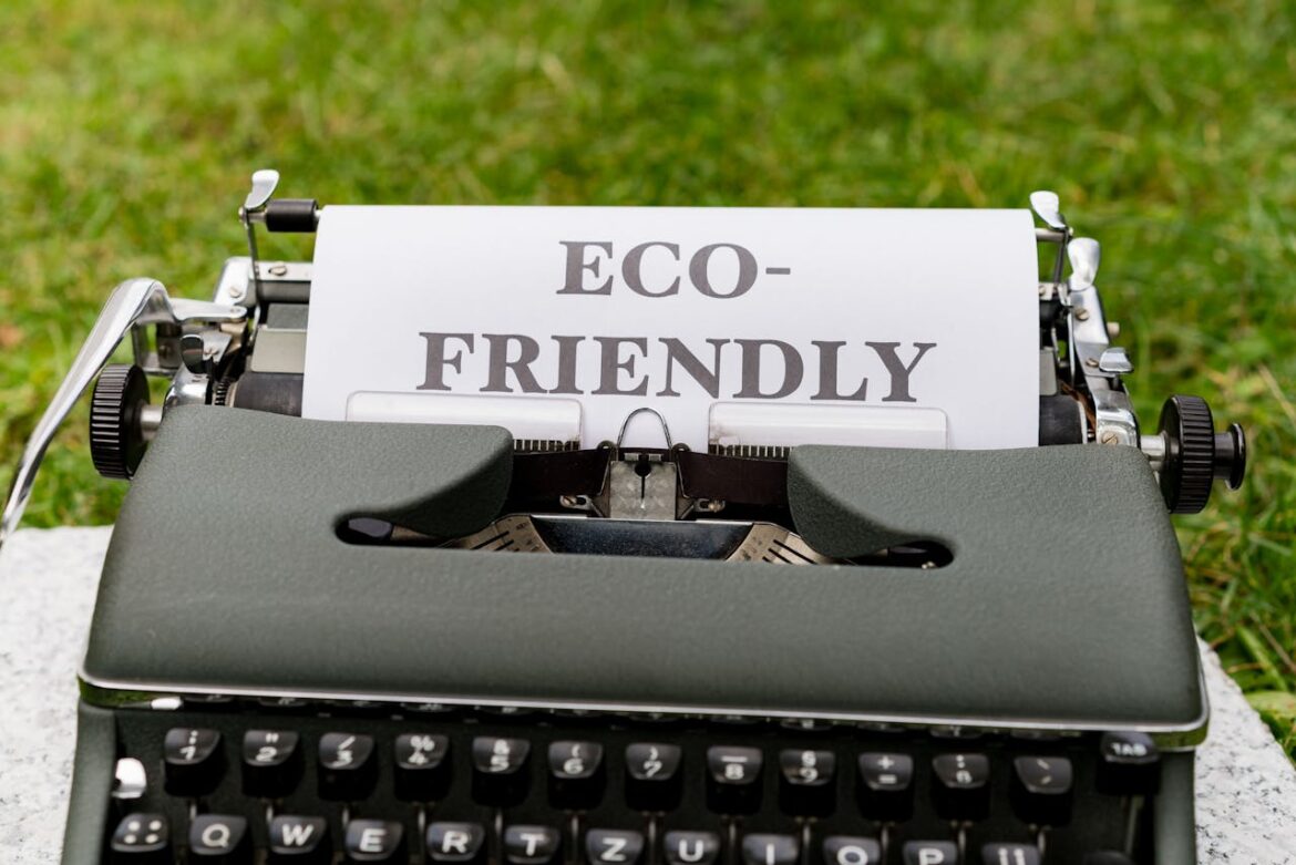Value and Sustainability: Six Eco-Friendly Ways to Renovate Your Home