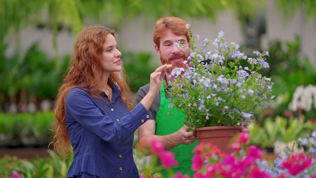 Growing Together: How Community Projects Can Transform Local Gardens and Green Spaces