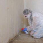 Mold Issues at Home