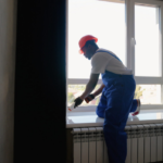 home improvement