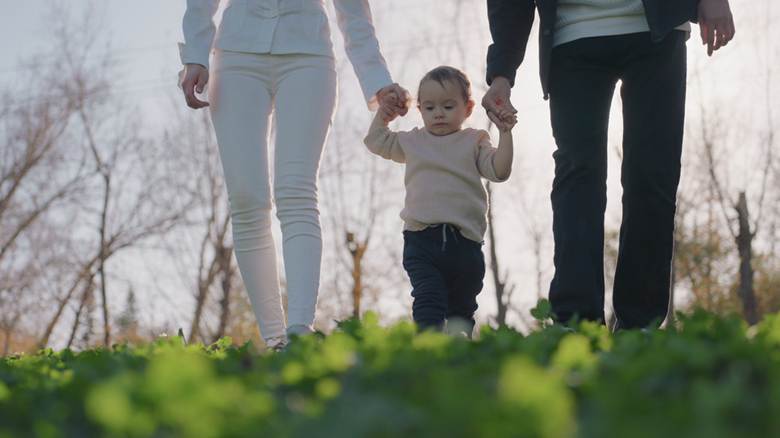 Factors to Account for in Your Toddler’s Critical Growth Period